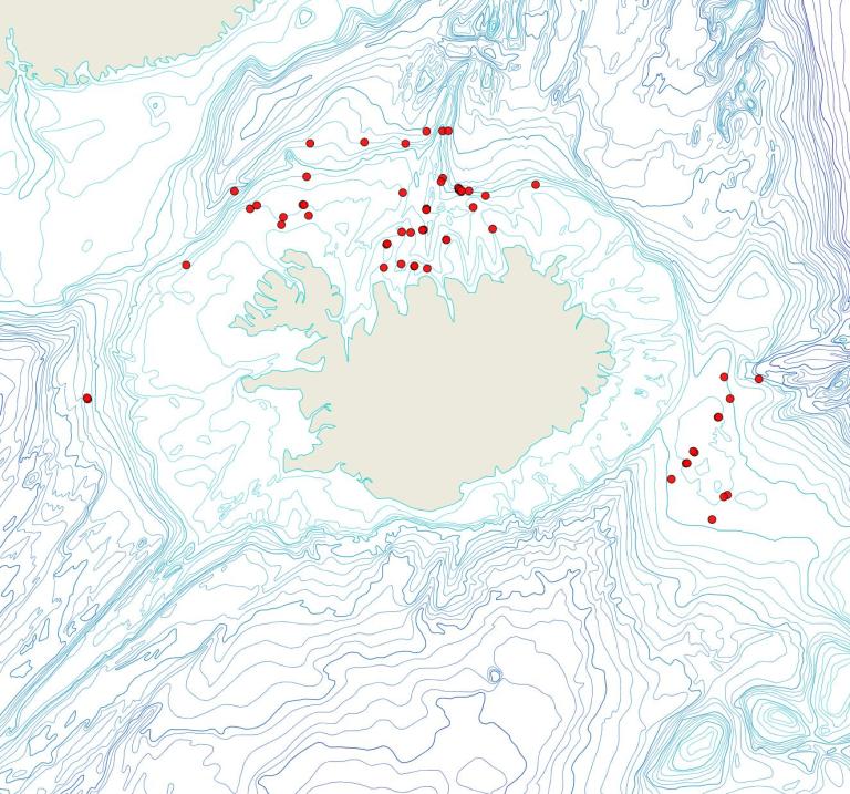 Útbreiðsla Infundibulipora lucernaria(Bioice samples, red dots)