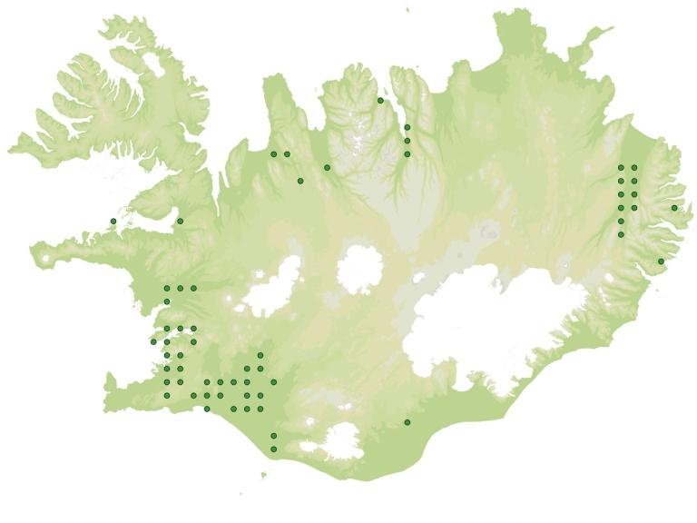 Útbreiðsla - Alaskavíðir (Salix alaxensis)