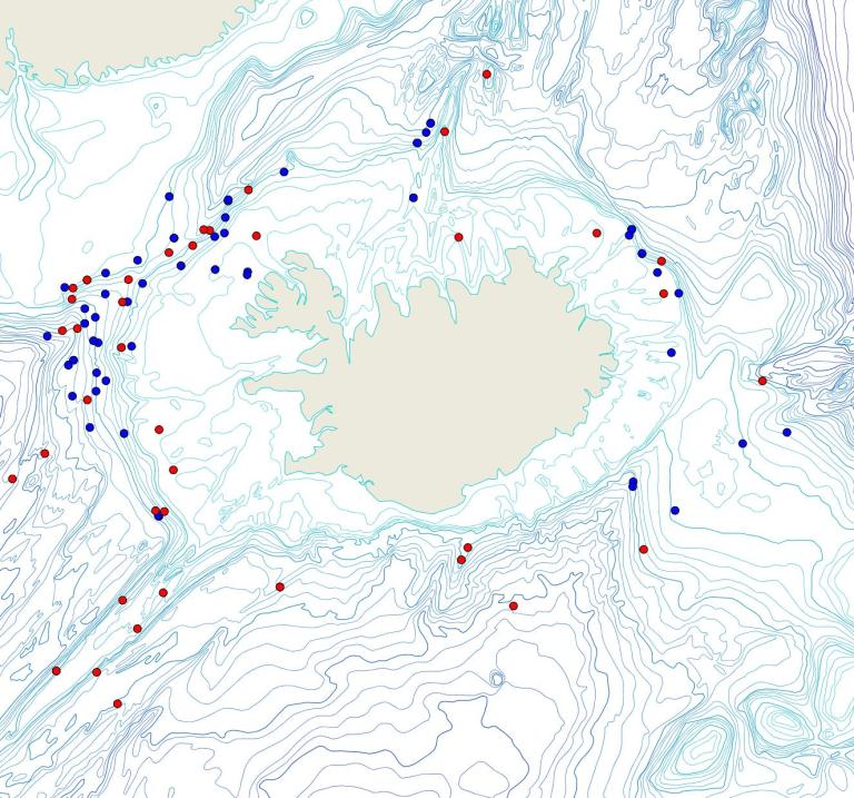 Útbreiðsla /distribution <em>Geodia sp.</em>. (Bioice samples red dots; MFRI samples blue dots)