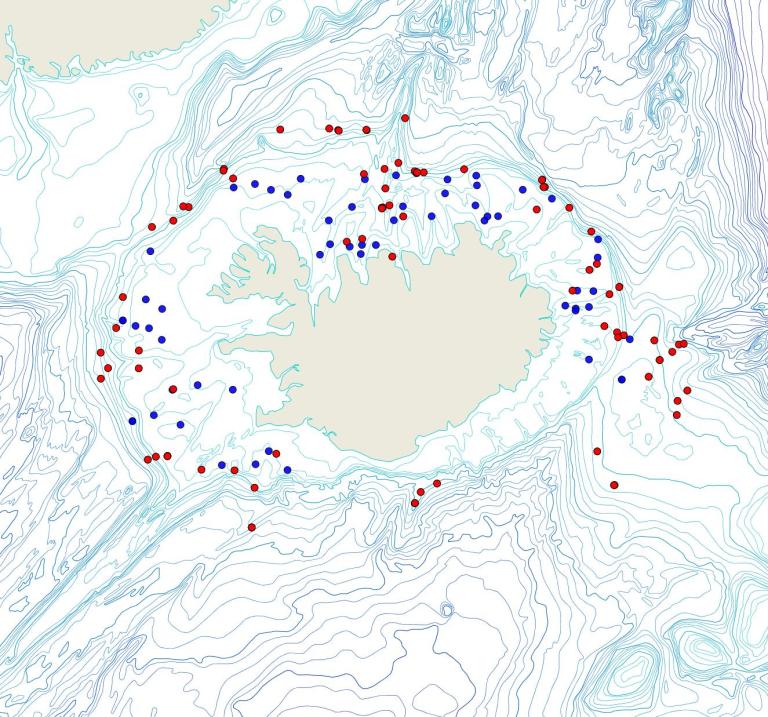 Útbreiðsla /distribution <em>Thenea valdiviae</em>. (Bioice samples red dots; MFRI samples blue dots)