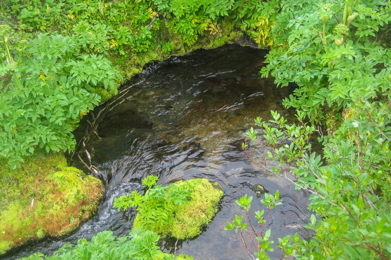 Lindavatn rennur undan hraunjaðri í einni af uppsprettum Herðubreiðarlinda