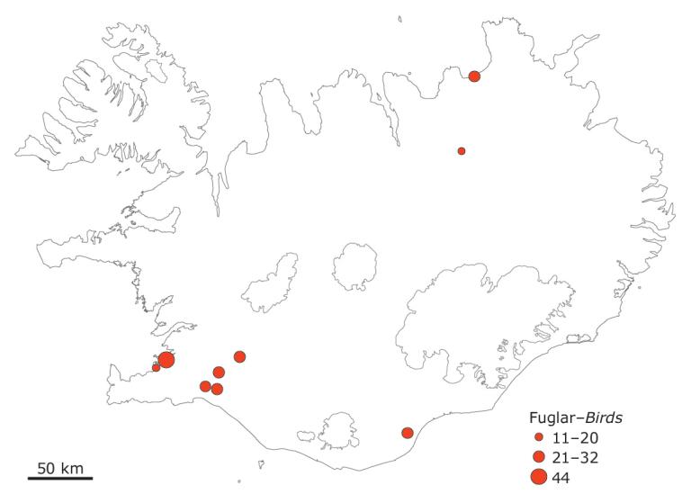 Mikilvægar vetrarstöðvar gulandar 