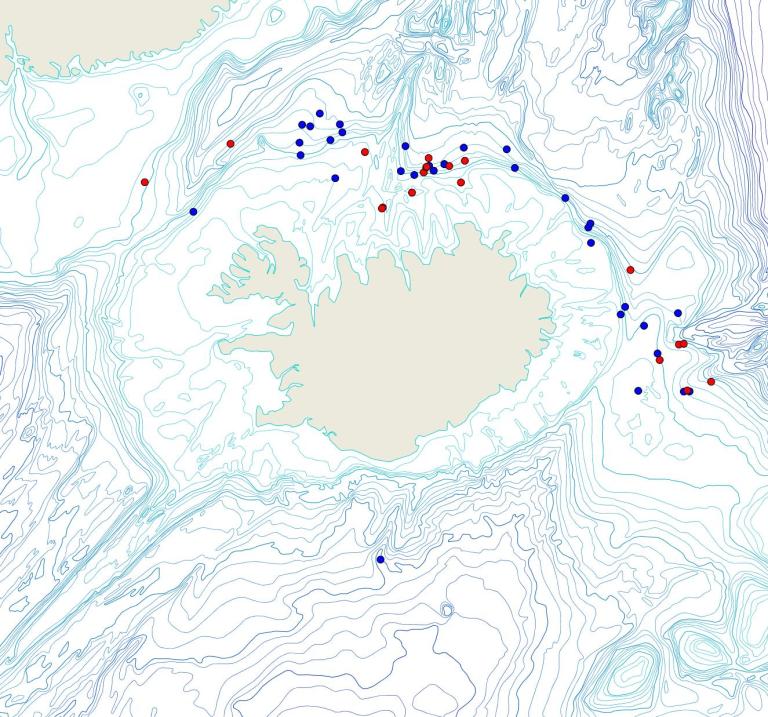 Útbreiðsla /distribution <em>Chondrocladia (Chondrocladia) grandis</em>. (Bioice samples red dots; MFRI samples blue dots)