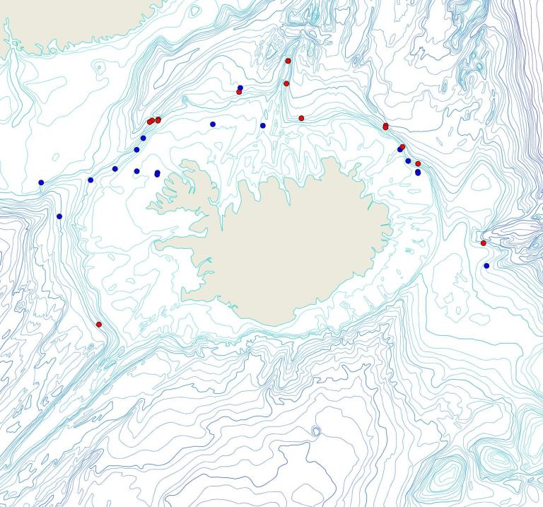 Útbreiðsla /distribution <em>Lissodendoryx (Lissodendoryx) complicata</em>. (Bioice samples red dots; MFRI samples blue dots)