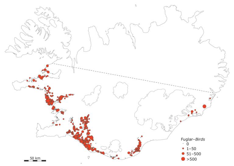 Fjöldi og dreifing álfta á sunnanverðu landinu í október 2013