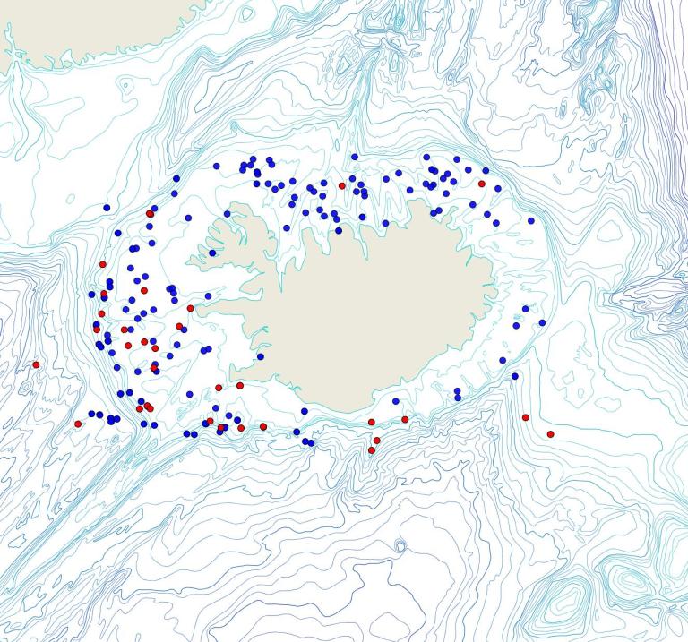 Útbreiðsla /distribution <em>Phakellia ventilabrum</em>. (Bioice samples red dots; MFRI samples blue dots)