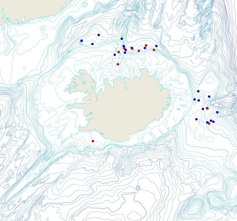 Útbreiðsla /distribution <em>Polymastia grimaldii</em>. (Bioice samples red dots; MFRI samples blue dots)