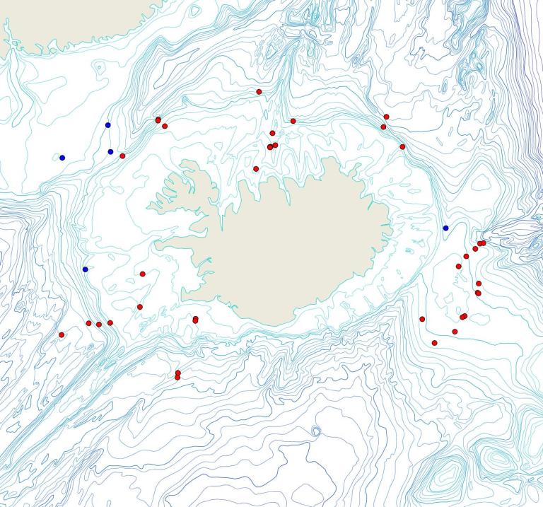 Útbreiðsla /distribution <em>Thenea abyssorum</em>. (Bioice samples red dots; MFRI samples blue dots)