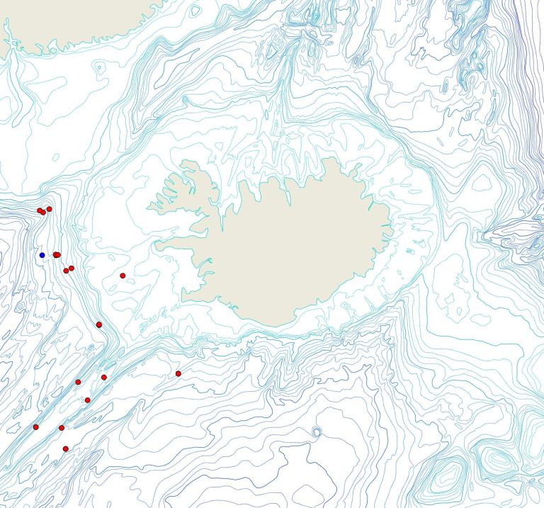 Útbreiðsla /distribution <em>Craniella longipilis</em>. (Bioice samples red dots; MFRI samples blue dots)