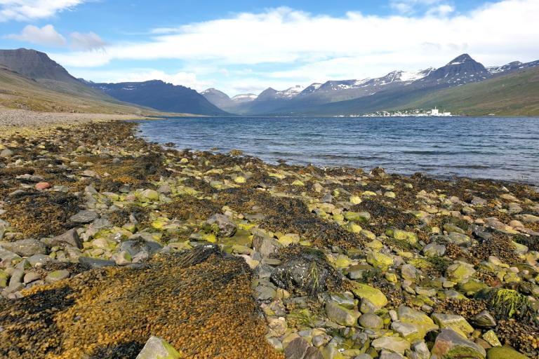 Fáskrúðsfjörður Fáskrúðsfjörður