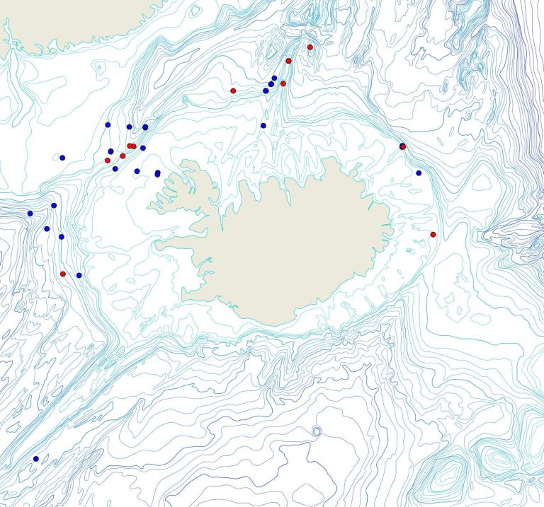Útbreiðsla /distribution <em>Geodia hentscheli</em>. (Bioice samples red dots; MFRI samples blue dots)