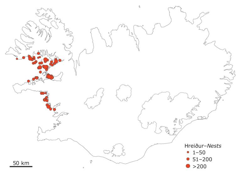 Dílaskarfsvörp á Íslandi 2007 Dílaskarfsvörp á Íslandi 2007