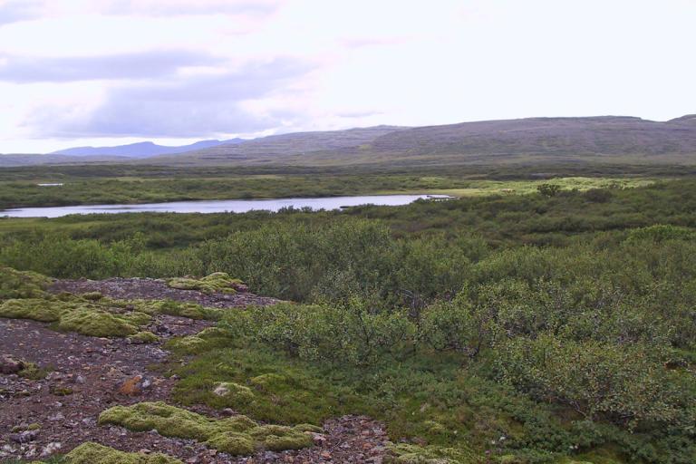 Litla-Skarð Litla-Skarð