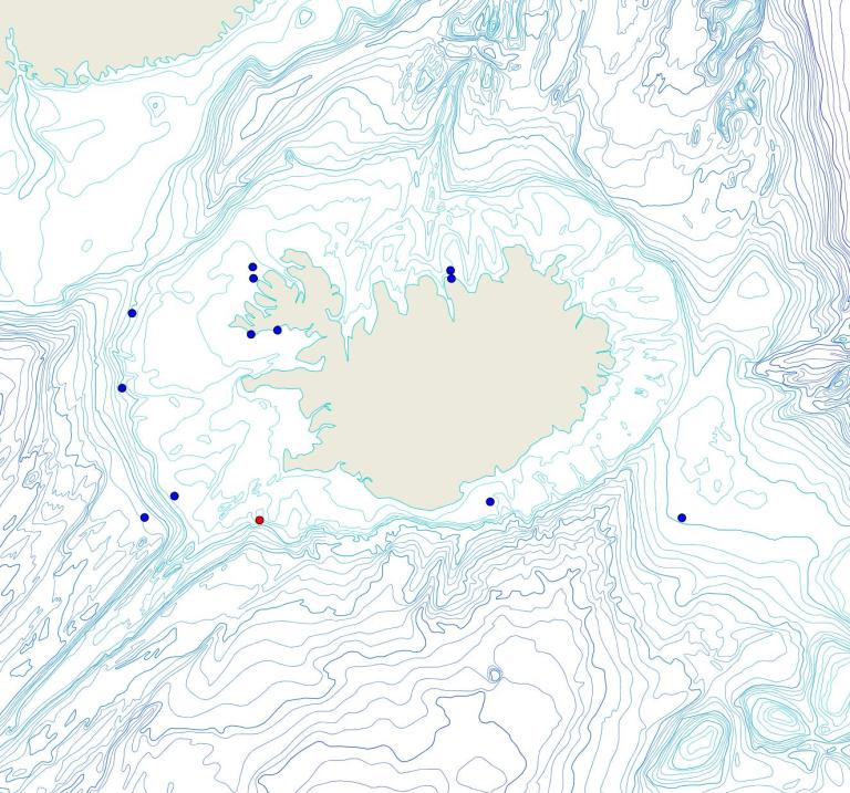 Útbreiðsla /distribution <em>Spongionella sp.</em>. (Bioice samples red dots; MFRI samples blue dots)
