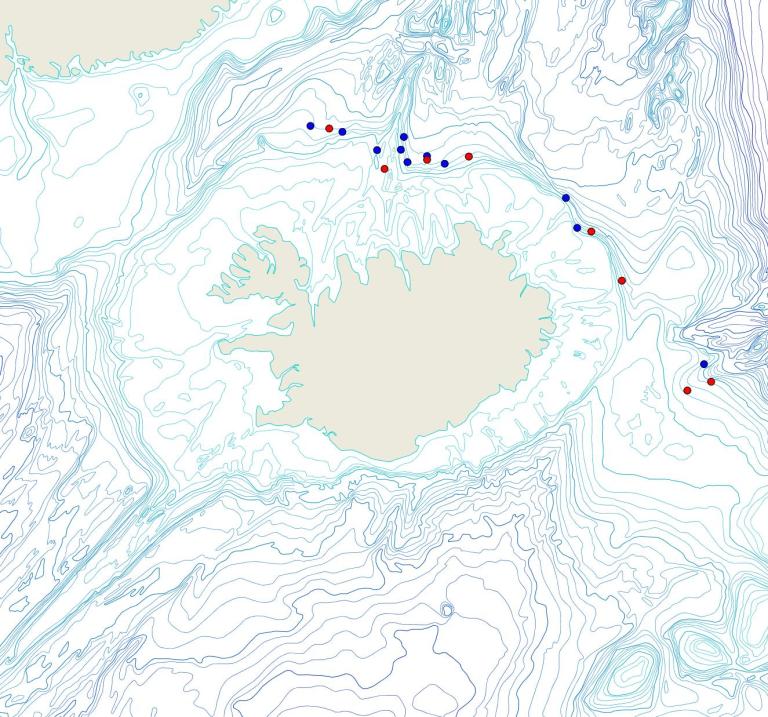 Útbreiðsla /distribution <em>Chondrocladia sp.</em>. (Bioice samples red dots; MFRI samples blue dots)