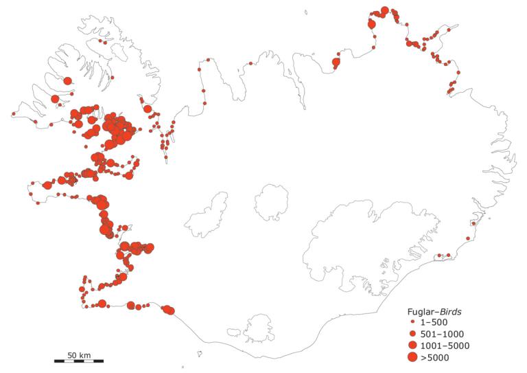 Fjöldi og dreifing rauðbrystinga sem sáust í maí 1990