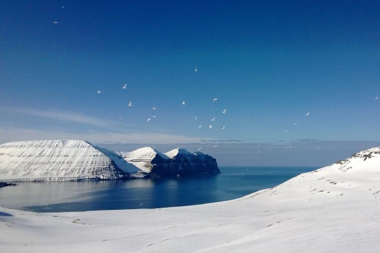 Úr Hornstrandarfriðlandi Úr Hornstrandarfriðlandi
