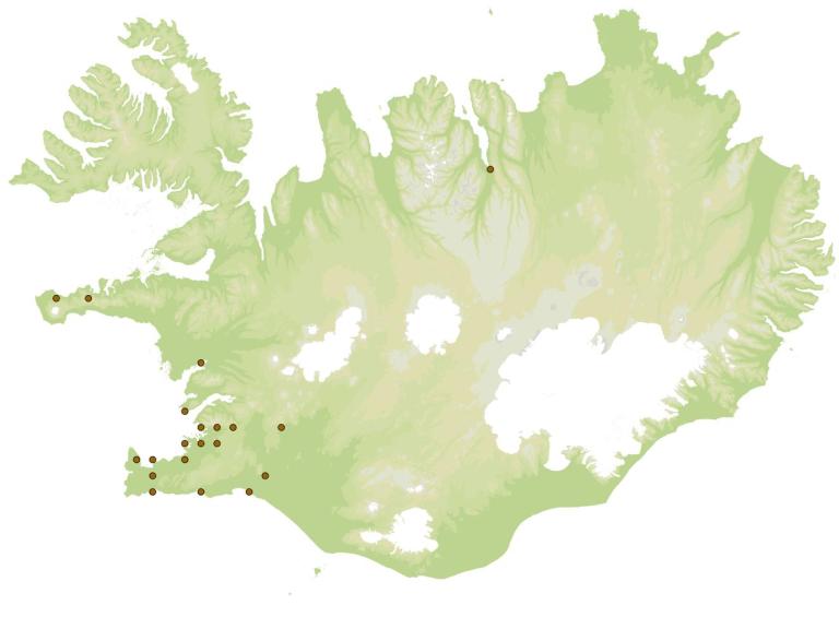 Parketlús (Dorypteryx domestica) - fundarstaðir samkvæmt eintökum í safni Náttúrufræðistofnunar Íslands