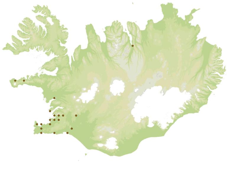 Parketlús (Dorypteryx domestica) - fundarstaðir samkvæmt eintökum í safni Náttúrufræðistofnunar Íslands Parketlús (Dorypteryx domestica) - fundarstaðir samkvæmt eintökum í safni Náttúrufræðistofnunar Íslands