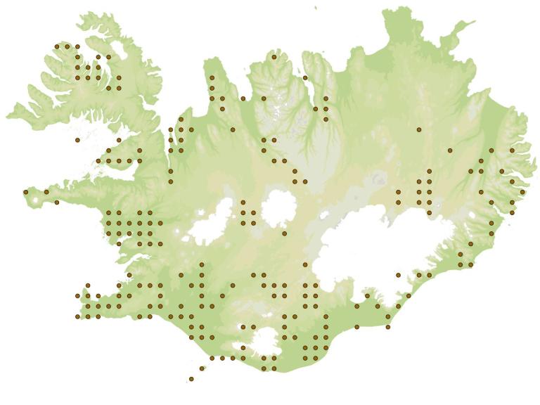 Langleggur (Mitopus morio) - fundarstaðir samkvæmt eintökum í safni Náttúrufræðistofnunar Íslands Langleggur (Mitopus morio) - fundarstaðir samkvæmt eintökum í safni Náttúrufræðistofnunar Íslands