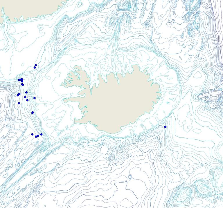 Útbreiðsla /distribution <em>Stryphnus sp.</em>. (Bioice samples red dots; MFRI samples blue dots)