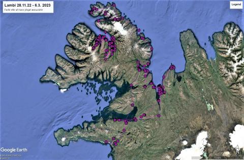 Ferðir hafarnarins Lamba frá nóvemberlokum 2022 og fram í byrjun mars 2023