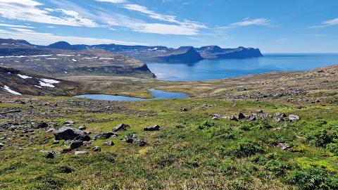 Hornstrandir.