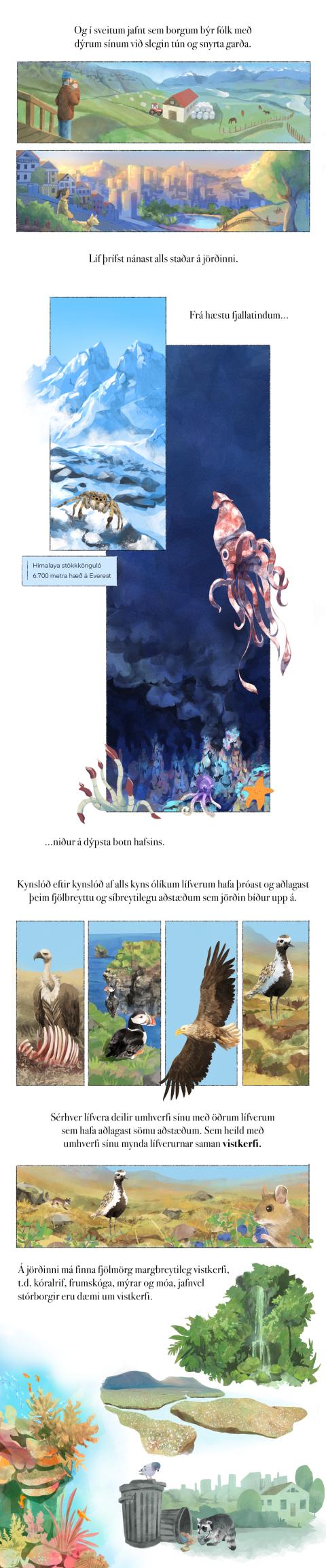 Fræðslumyndasaga um líffræðilega fjölbreytni