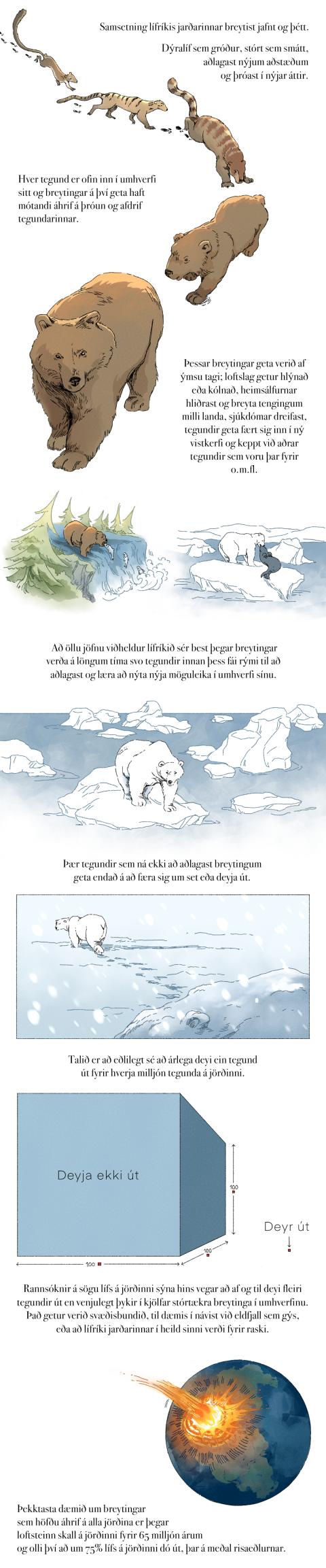 Fræðslumyndasaga um líffræðilega fjölbreytni