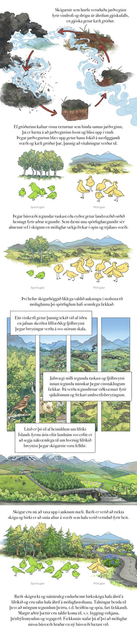 Fræðslumyndasaga um líffræðilega fjölbreytni