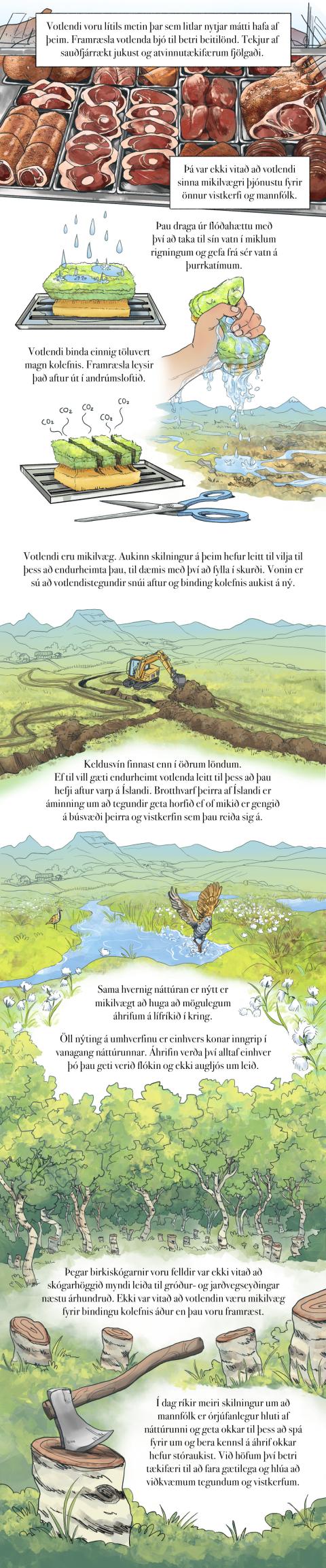 Fræðslumyndasaga um líffræðilega fjölbreytni