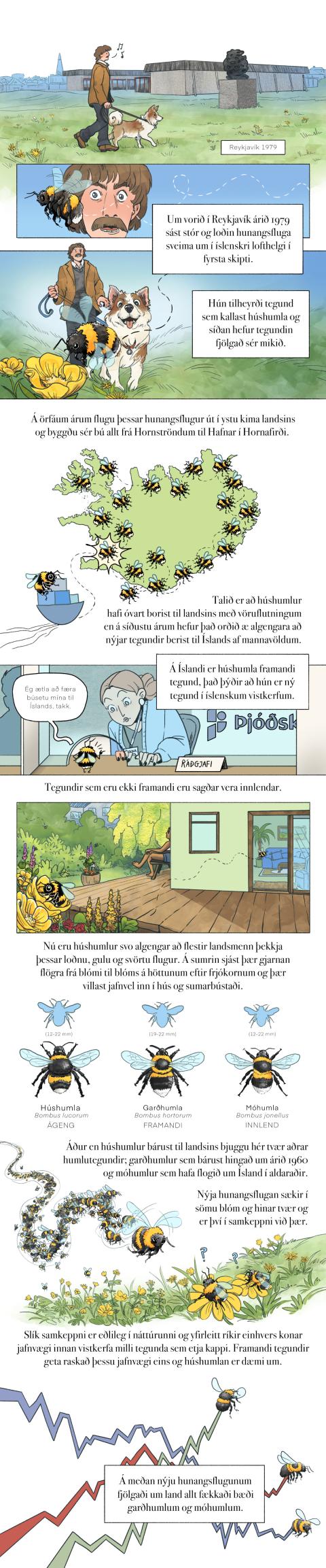 Fræðslumyndasaga um líffræðilega fjölbreytni