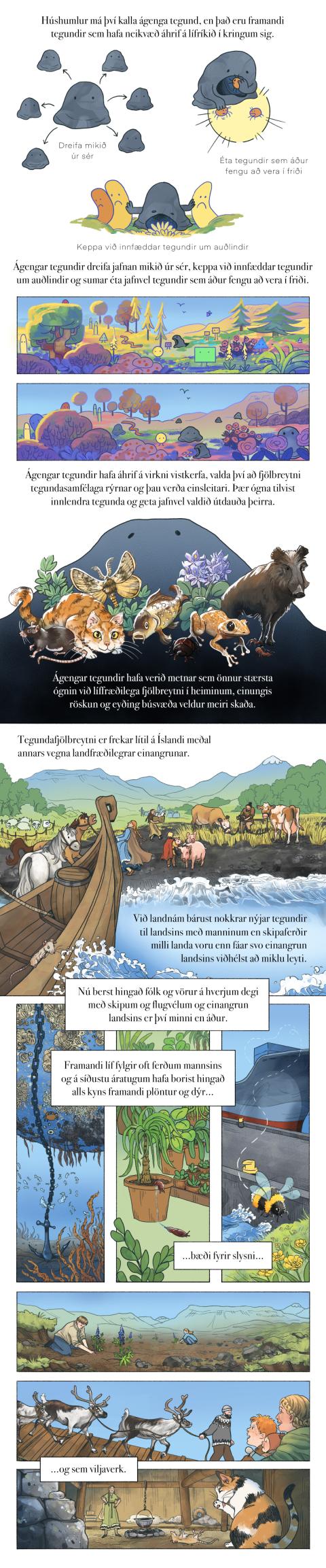 Fræðslumyndasaga um líffræðilega fjölbreytni