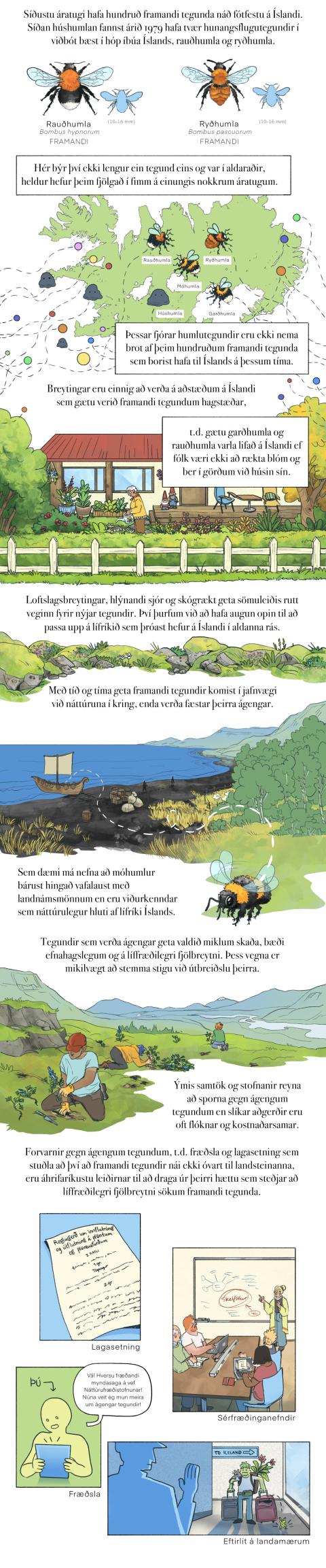 Fræðslumyndasaga um líffræðilega fjölbreytni