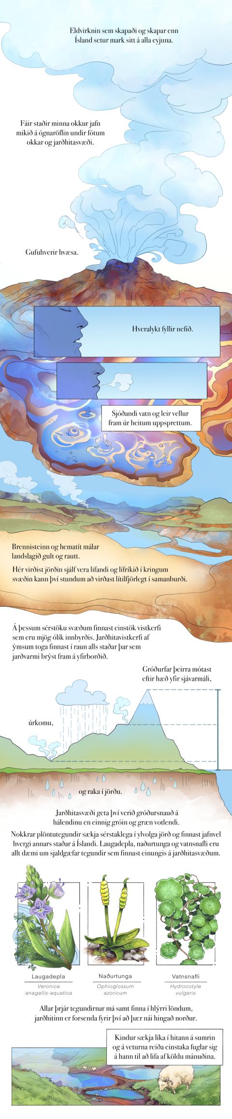 Fræðslumyndasaga um líffræðilega fjölbreytni
