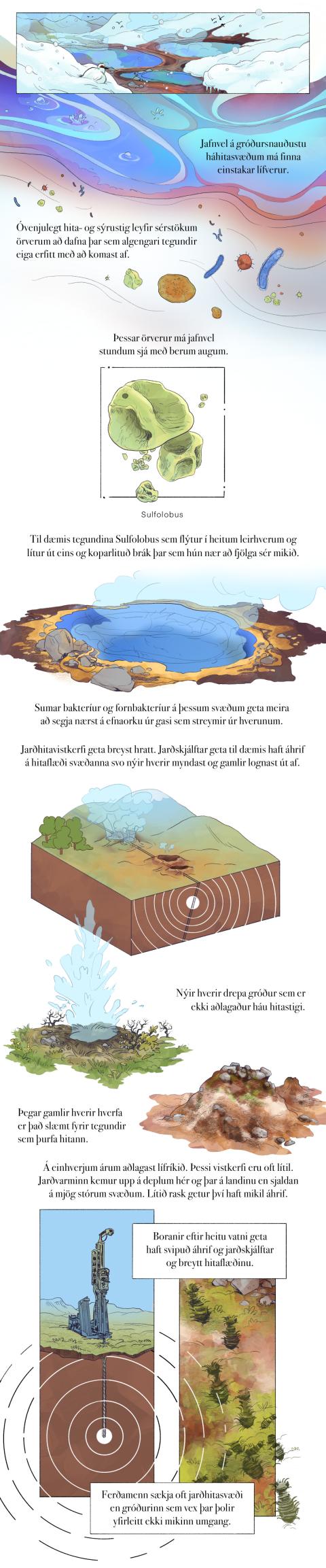 Fræðslumyndasaga um líffræðilega fjölbreytni