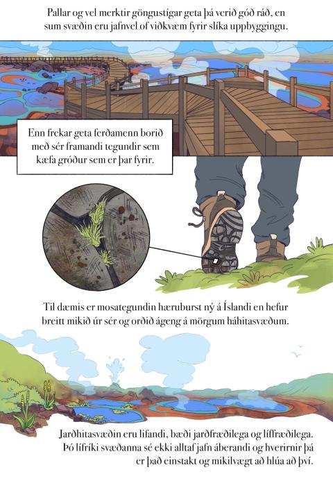 Fræðslumyndasaga um líffræðilega fjölbreytni