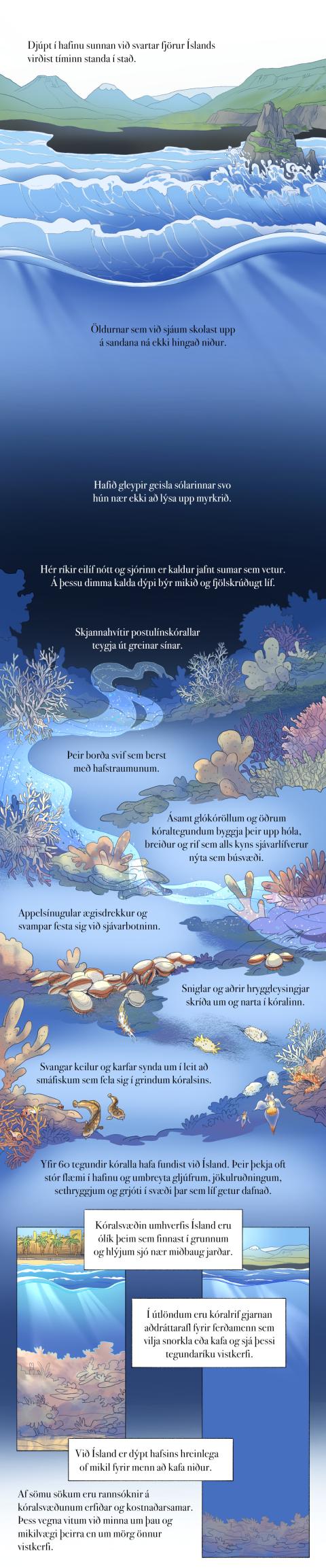 Fræðslumyndasaga um líffræðilega fjölbreytni