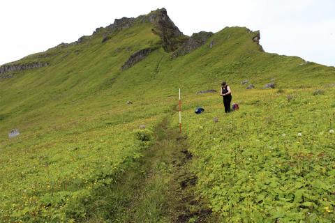 Mat á ástandi göngustíga á gönguleið að Hornbjargi