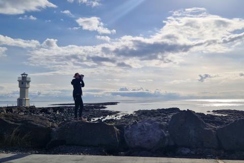 Sunna Björk Ragnarsdóttir leitar eftir fuglum á Akranesi