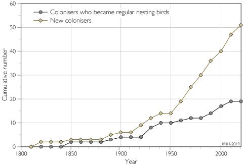 3.2_graf_fuglar_landnemar_en.jpg Colonisation of bird species in Iceland 1800–2015