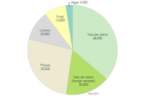 Proportional number of plant and fungi collections specimens