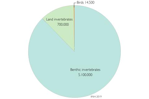 Proportional number of animal collections specimens