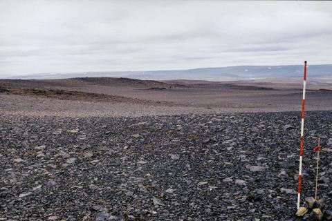 eydimelavist1-2.jpg Eyðimelavist