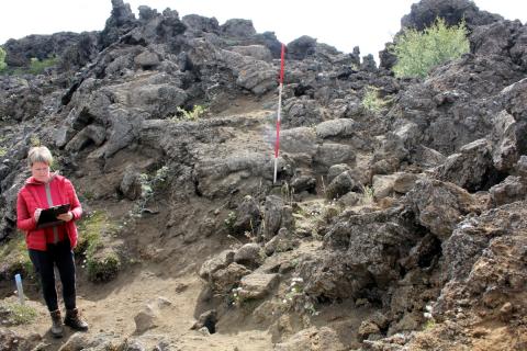 Forkönnun í Dimmuborgum