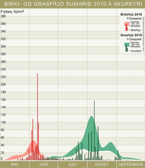 Birki- og grasfrjó sumarið 2010 á Akureyri