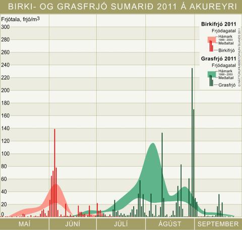 Birki- og grasfrjó sumarið 2011 á Akureyri