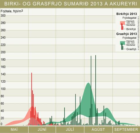 Birki- og grasfrjó sumarið 2013 á Akureyri