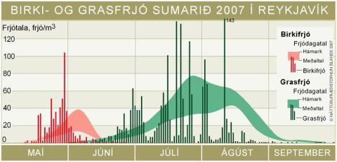 Birki- og grasfrjó sumarið 2007 í Reykjavík