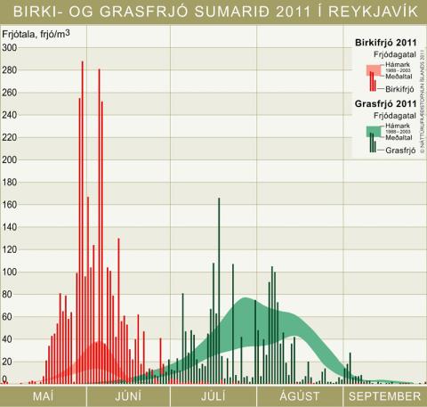 Birki- og grasfrjó sumarið 2011 í Reykjavík